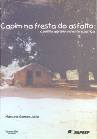 Capim na fresta do asfalto