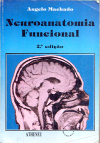 Neuroanatomia funcional