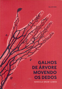 Galhos de árvore movendo os dedos