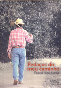 Pedaços do meu caminho