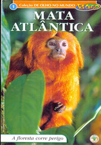 Mata atlântica a floresta corre perigo